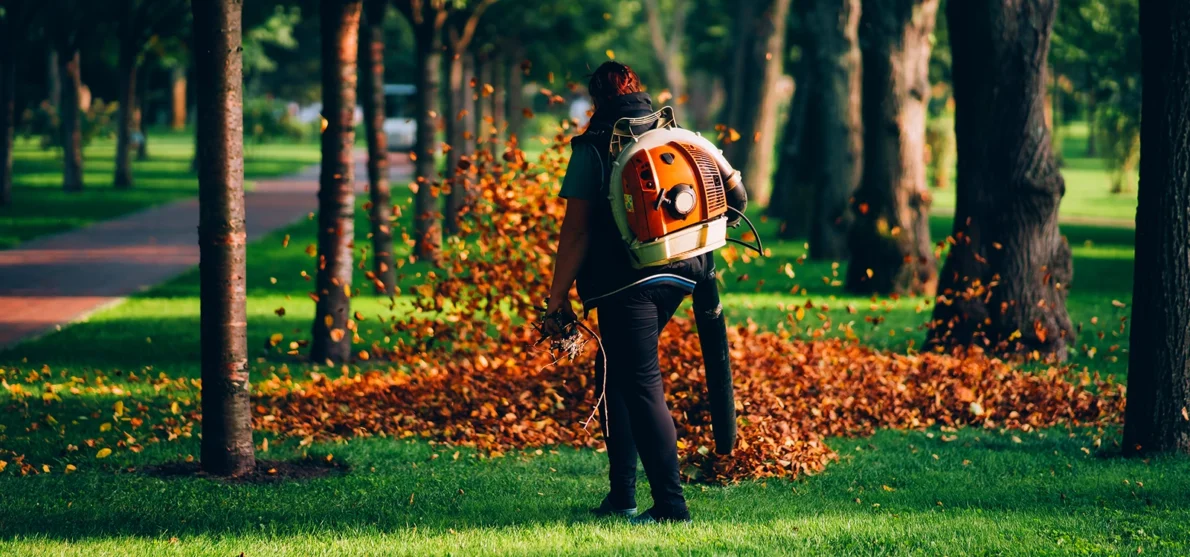 Bernis Grounds Maintenance